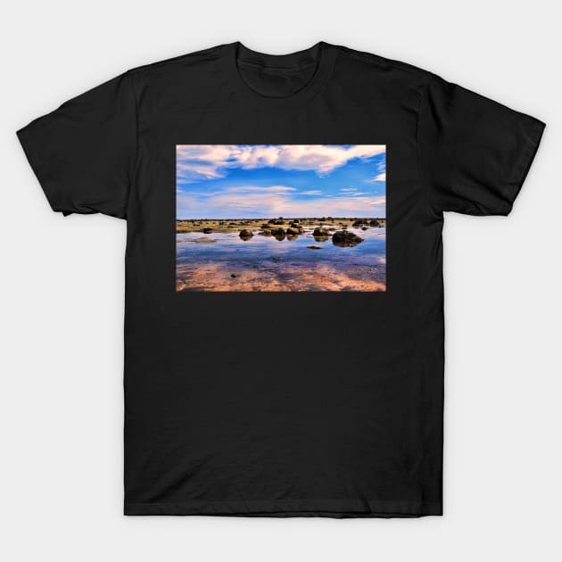 Seascape-North Sea,Scotland T-Shirt by dhphotography